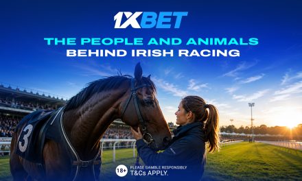 Beyond the Finish Line: Supporting the Entire Racing Ecosystem