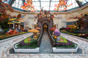 Bellagio 00 Bellagio’s Conservatory & Botanical Gardens creates ‘Into The Woods’ experience for new autumn display