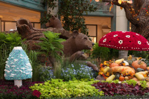 Bellagio 01 Bellagio’s Conservatory & Botanical Gardens creates ‘Into The Woods’ experience for new autumn display