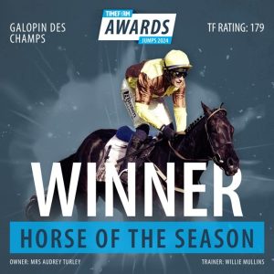 Gallopin 1 Galopin Des Champs leads Mullins domination at inaugural Timeform Jumps Awards