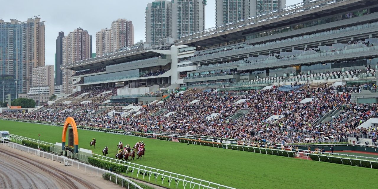 Hong Kong racing finale sees highest turnover of 2023/24