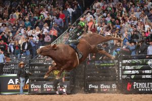 Leme Woopaa 98.75 Courtesy Bull Stock Media OpenBet to provide official odds and pricing for PBR