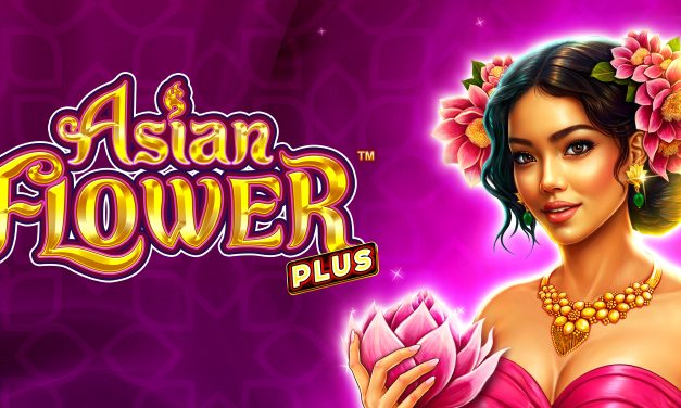 Spin Into Serenity with Asian Flower Plus!