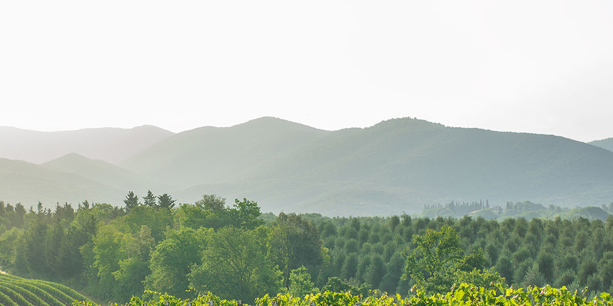 Infor provides digital transformation for San Manuel