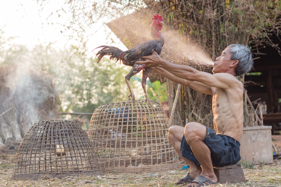 The toll of illegal gambling