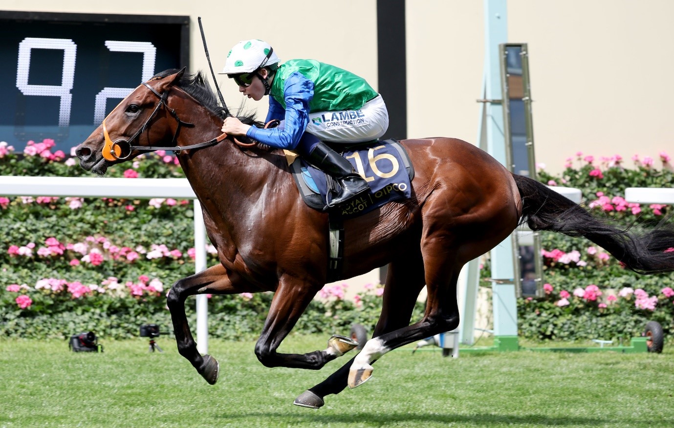 World Pool crowns new record win dividend at Royal Ascot