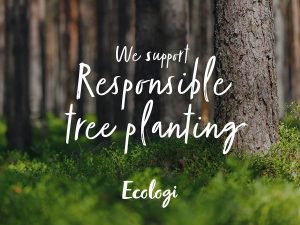 ecologi merkur uk MERKUR UK 360 Program funds the planting of 25,000 trees