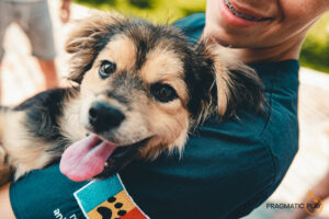 image002 42 Pragmatic Play donates over €40k to good causes in Malta, Gibraltar and Romania